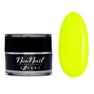 OUTLET Paint Gel Expert Neon Yellow