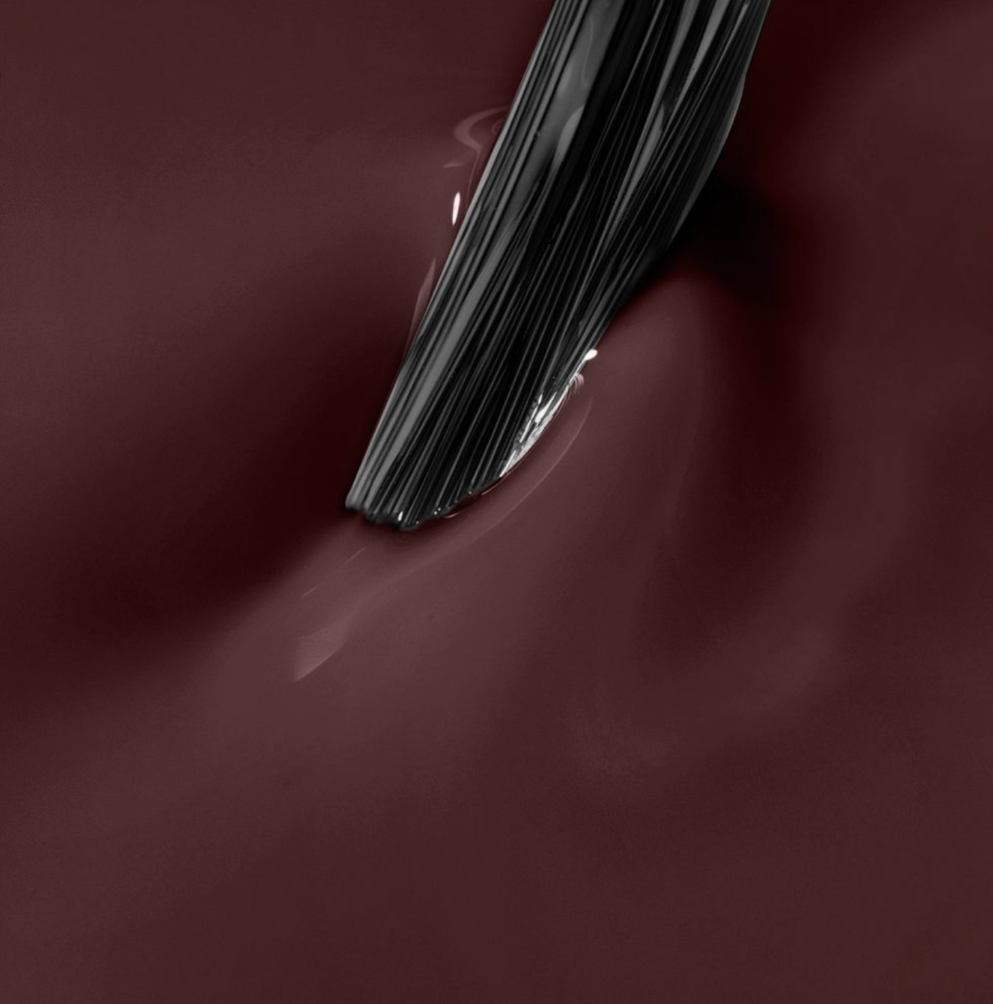 Captura de pantalla 2026-02-24 a las 12.48.56