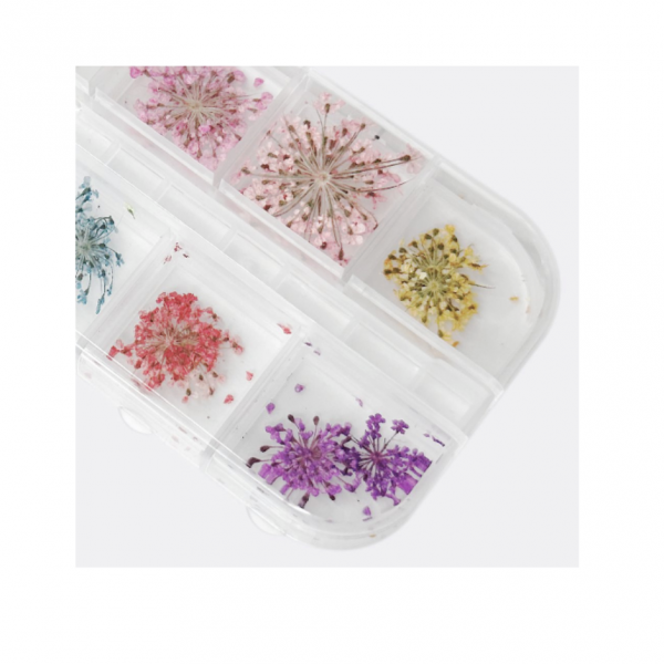Flores secas para uñas