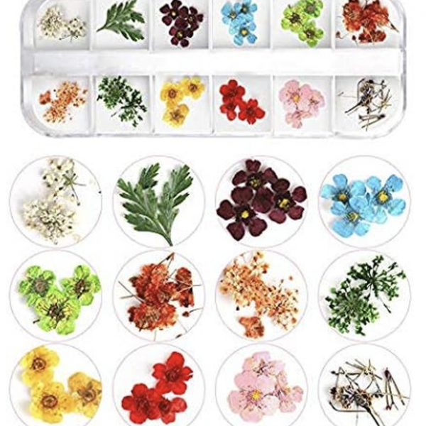 Flores secas variadas para uñas