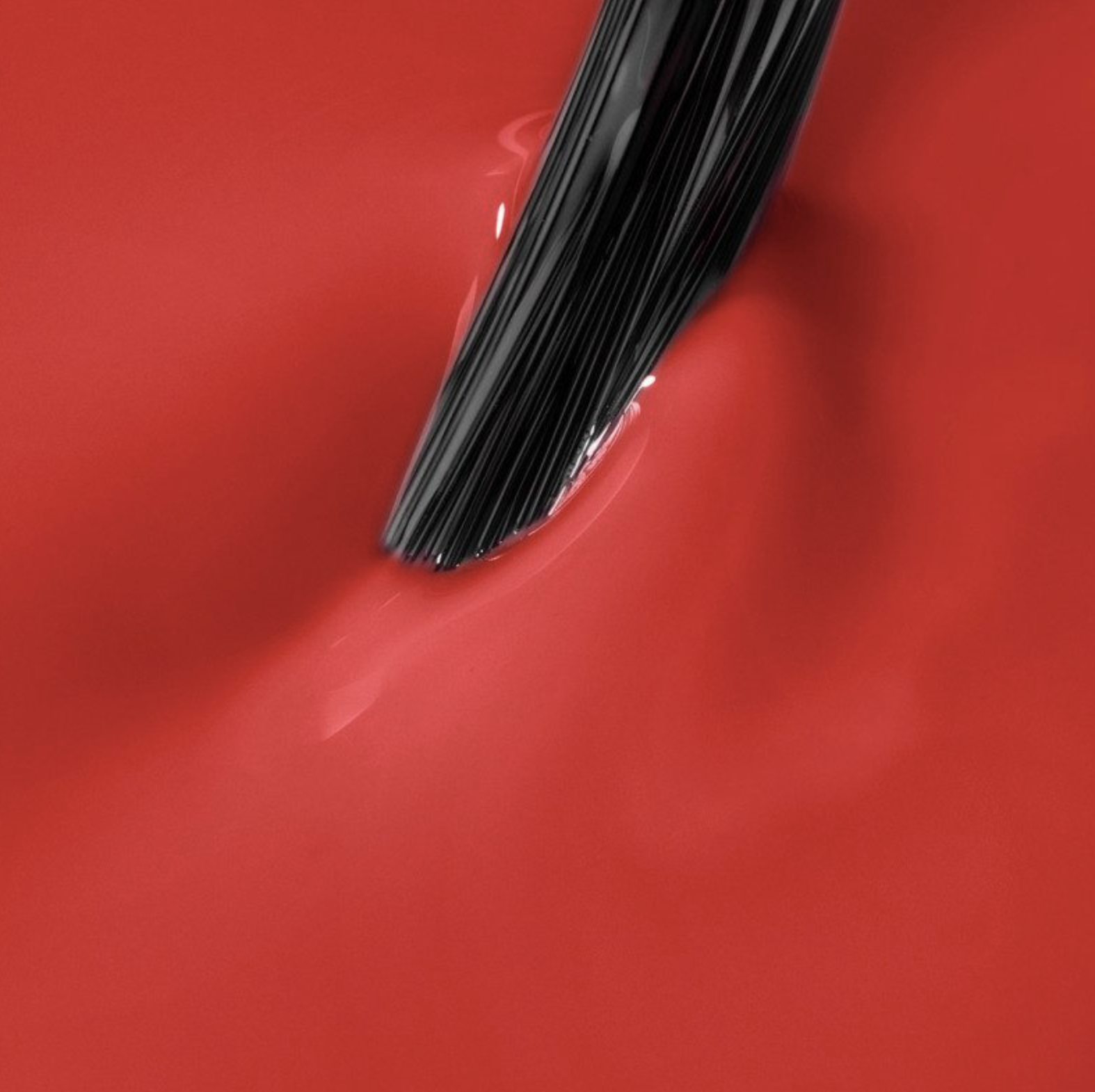 Captura de pantalla 2026-04-13 a las 10.33.39