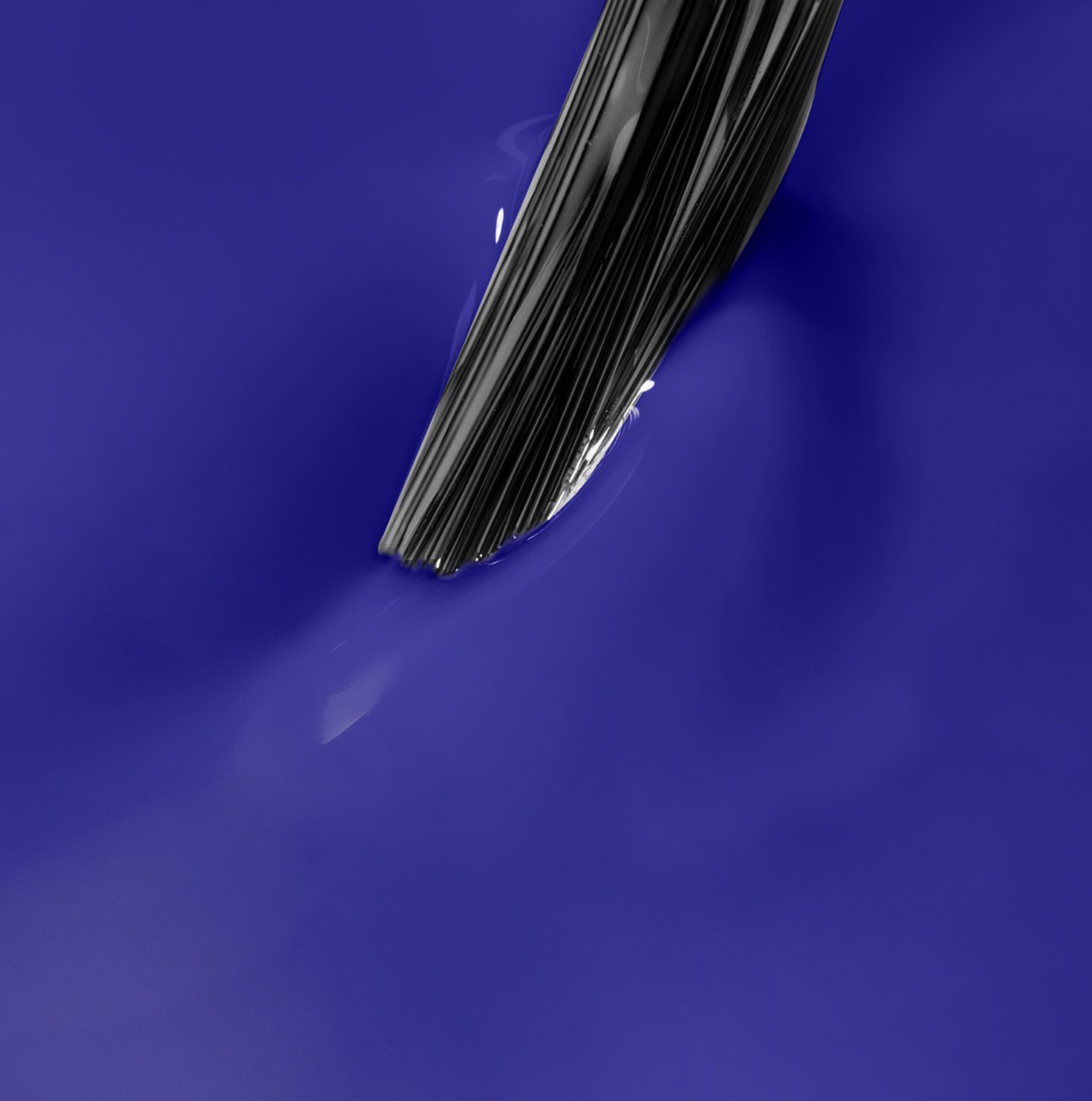 Captura de pantalla 2026-06-11 a las 11.40.21