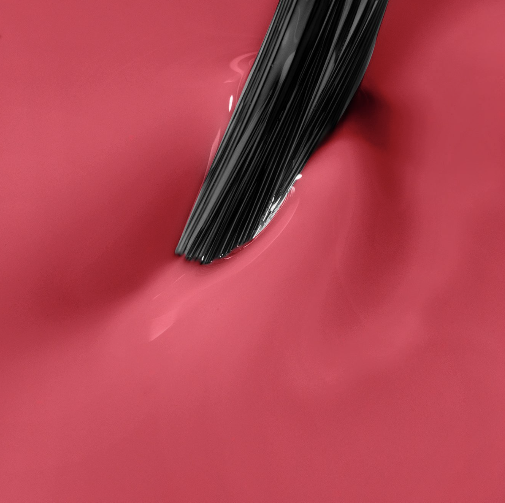 Captura de pantalla 2026-08-17 a las 13.17.13